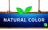 London Liqueurs Natural Color - Vibrant and Pure Ingredients